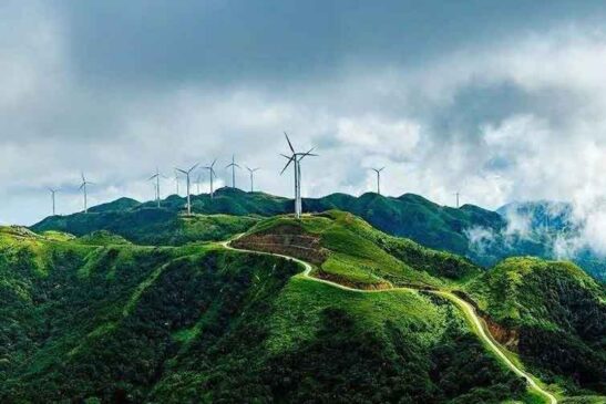 7017_ClimatePartner_10_web